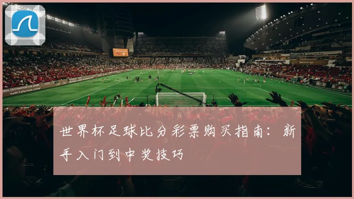 世界杯足球比分彩票购买指南:新手入门到中奖技巧