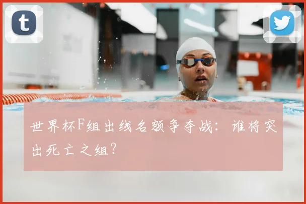 世界杯F组出线名额争夺战:谁将突出死亡之组?