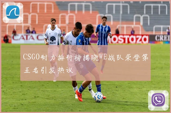 CSGO耐力排行榜揭晓WE战队荣登第五名引发热议