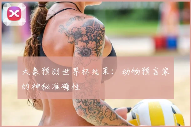 大象预测世界杯结果：动物预言家的神秘准确性