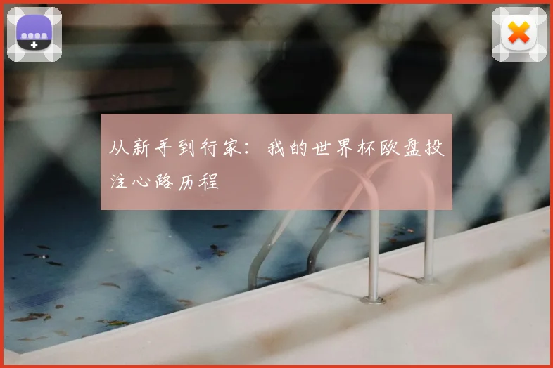 从新手到行家:我的世界杯欧盘投注心路历程