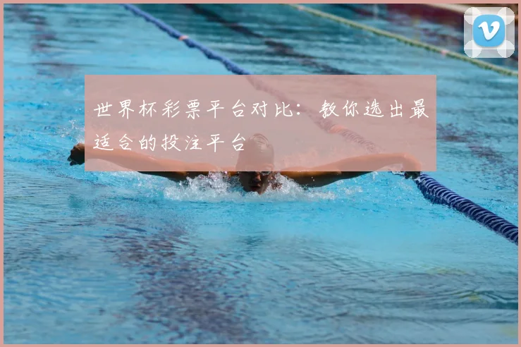 世界杯彩票平台对比：教你选出最适合的投注平台