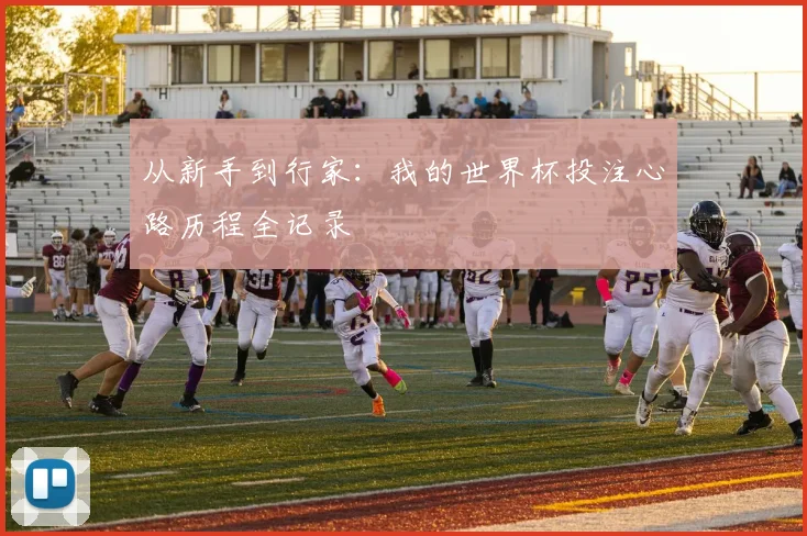 从新手到行家:我的世界杯投注心路历程全记录