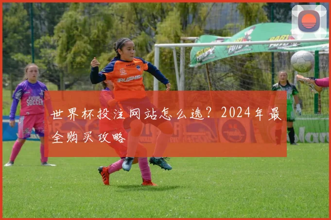 世界杯投注网站怎么选?2024年最全购买攻略