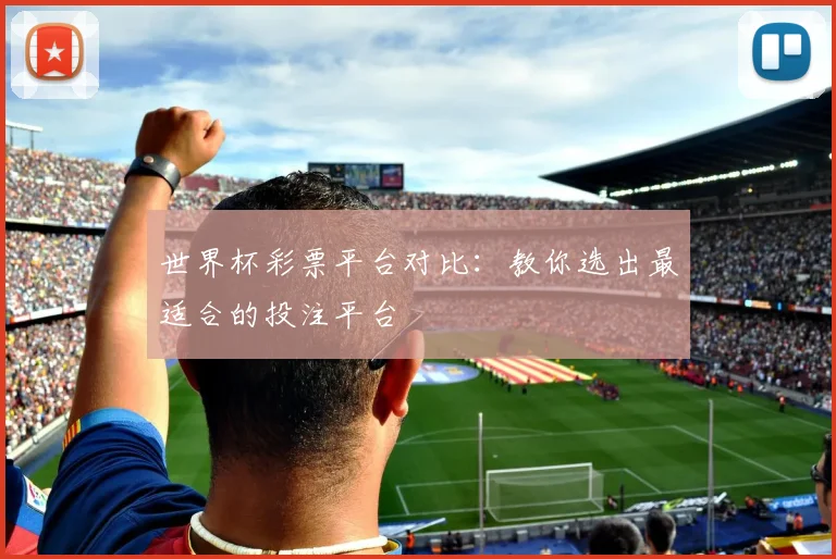 世界杯彩票平台对比:教你选出最适合的投注平台